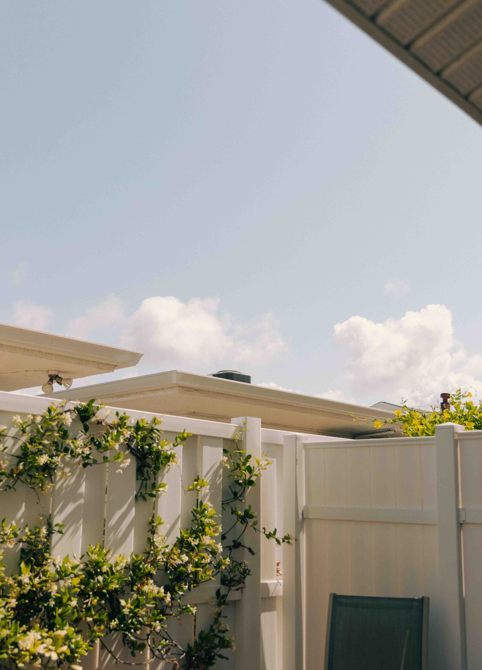 White privacy fence with climbing greenery in a sunny backyard